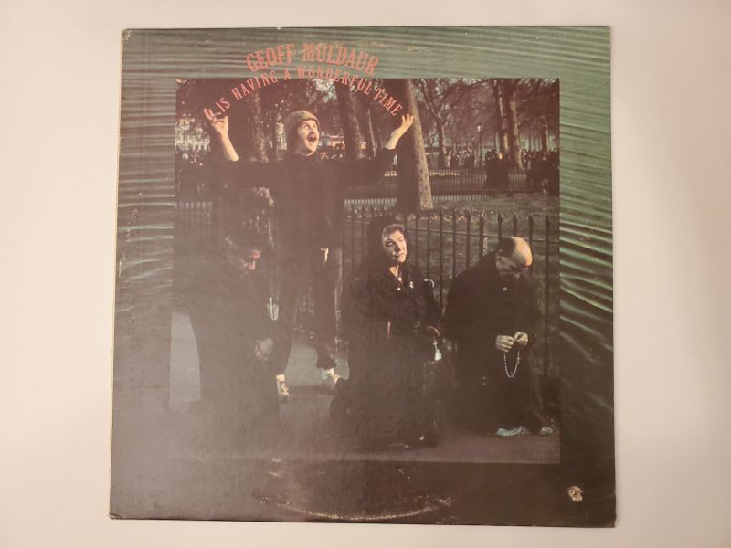 Geoff Muldaur Is Having a Wonderful Time vinyl record